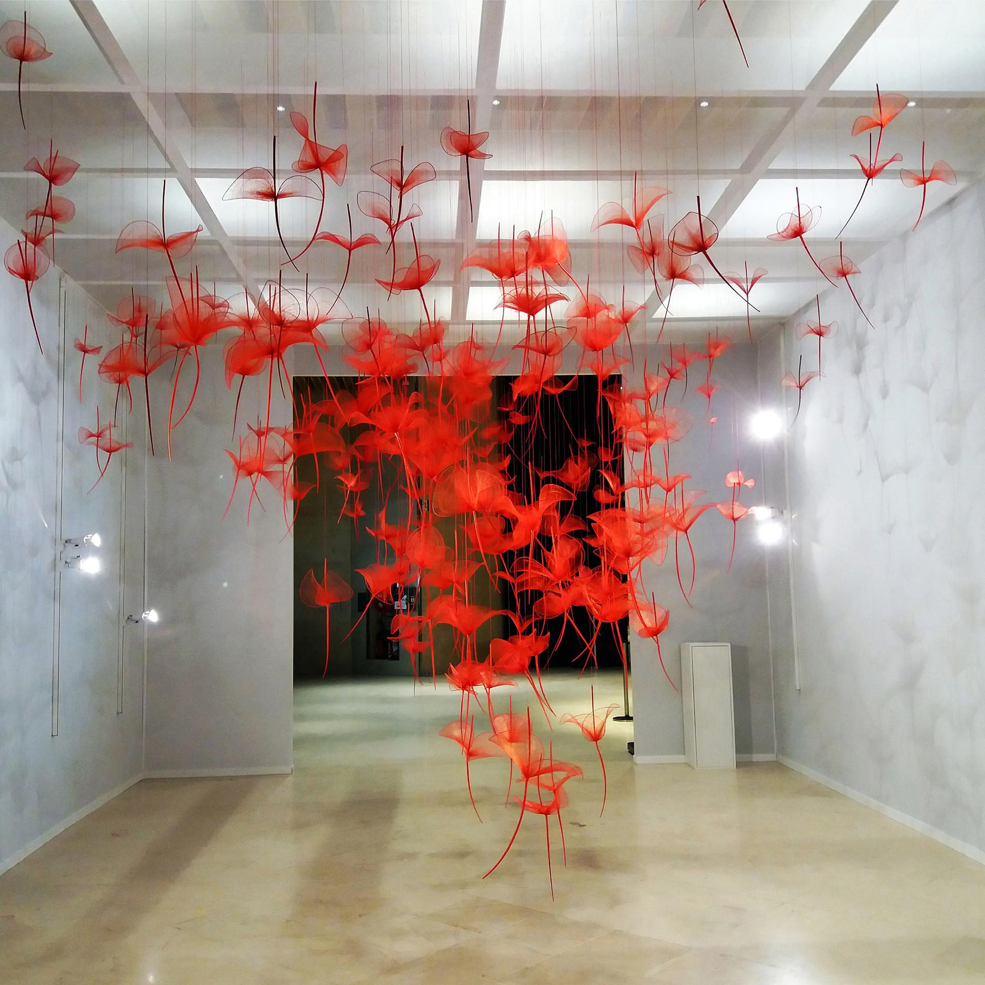 01 installation l eclosion isabelle leourier 1920 x1920